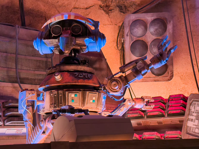 DJ at Oga's Cantina, Hollywood Studios