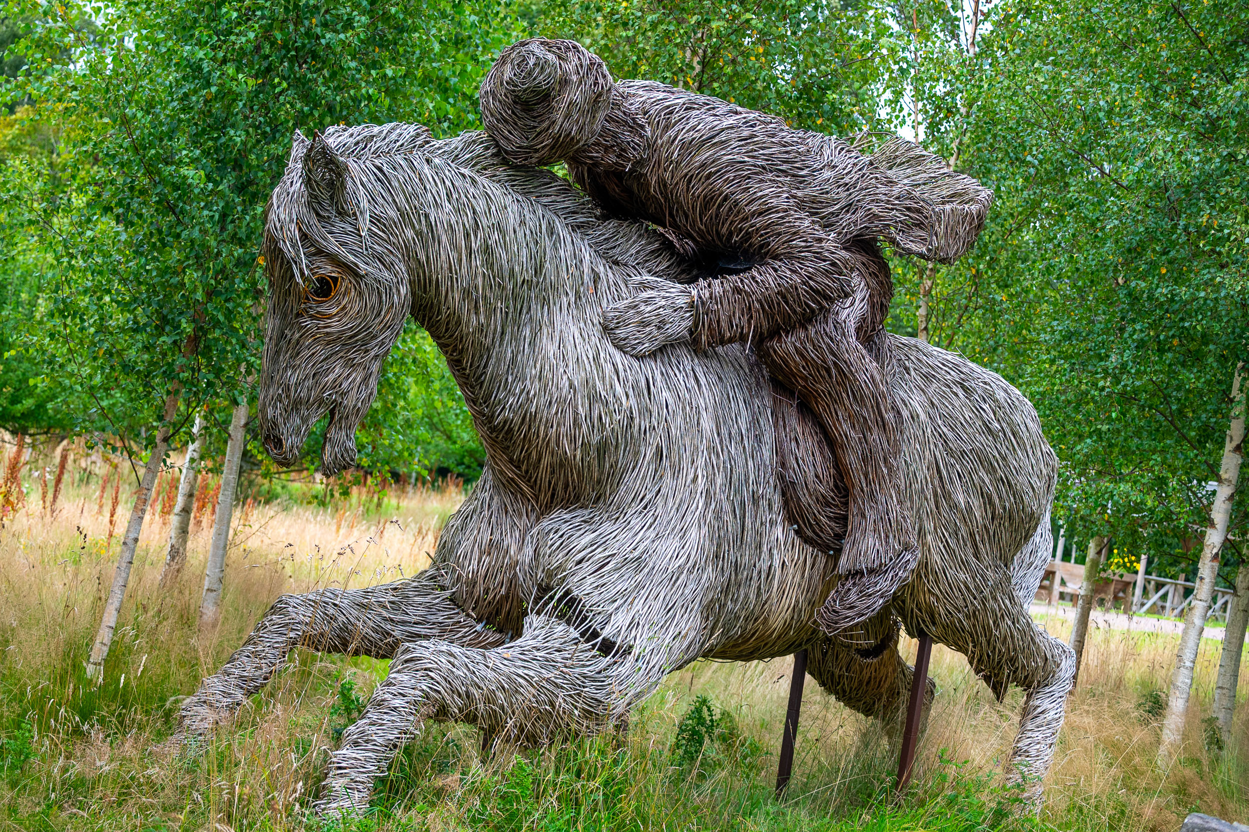robert-burns-cottage-meg-the-horse.jpg